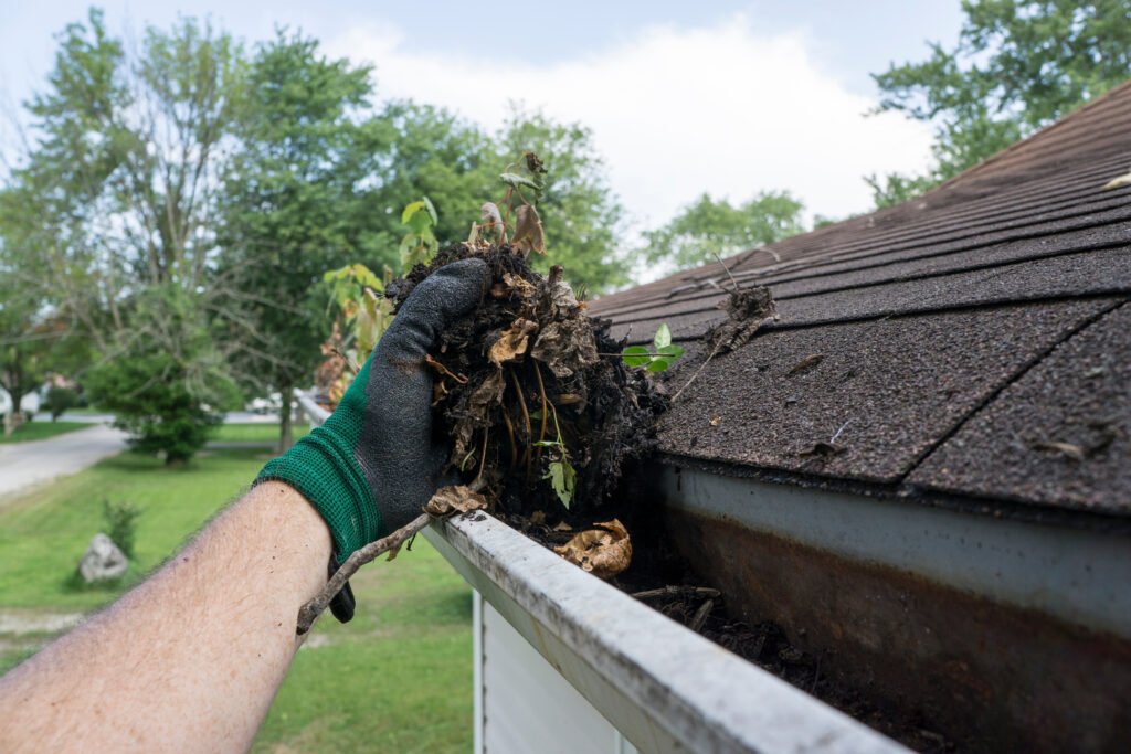 Home cleaning gutters filled with leaves & sticks